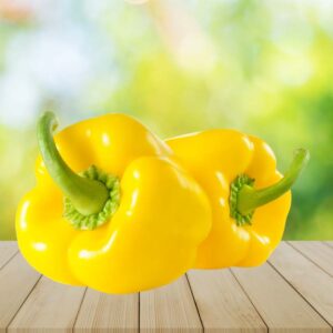 Yellow Peppers, pack of 2