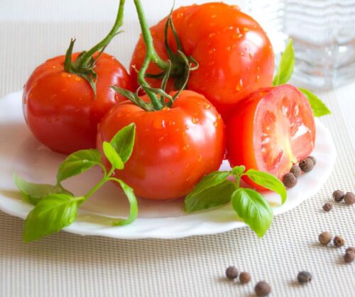 tomatoes